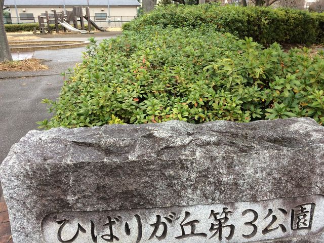 公園の入口_ひばりが丘第4公園