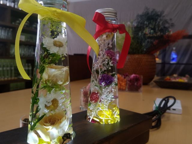 初めての作品です_めだか分校 体験教室