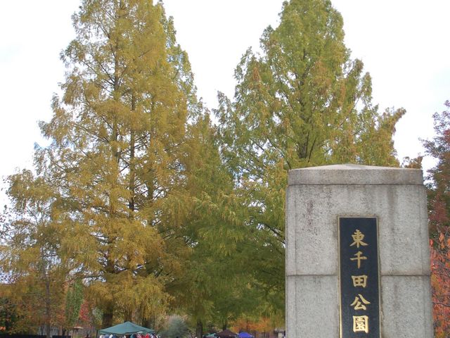 入口_東千田公園