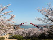 JOEさんの音戸の瀬戸公園の投稿写真1