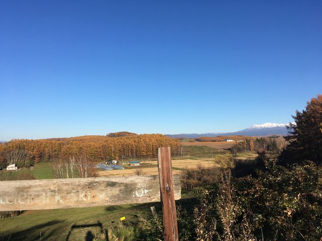 お店の庭からの景色です。_アイス工房田村ファーム Clover