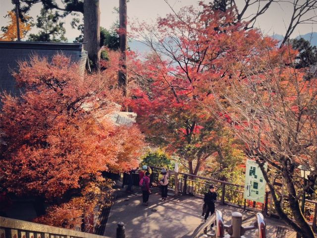 紅葉_高尾山