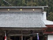 ゴエモンさんの日枝神社の投稿写真1