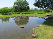 ゼバスティアン04さんの多摩川中央公園の投稿写真2
