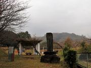 Yanwenliさんの木の丸公園の投稿写真1