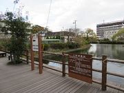 キヨさんの西条郷土博物館の投稿写真1