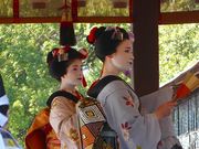 マックさんの八坂神社の投稿写真16