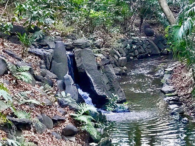 【寝覚の滝(小石川後楽園)】_寝覚の滝(小石川後楽園)