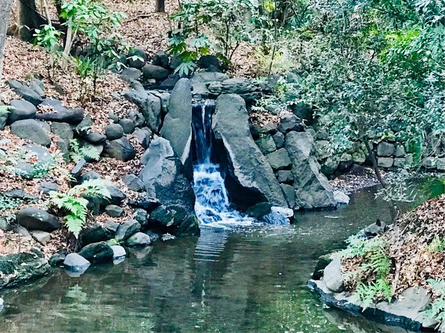 【寝覚の滝(小石川後楽園)】_寝覚の滝(小石川後楽園)