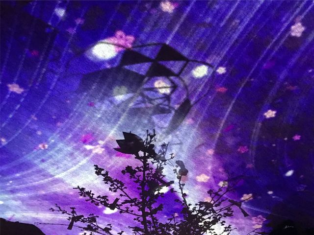 【日本橋三井ホール】イベント「FLOWERS by NAKED 2019」_日本橋三井ホール
