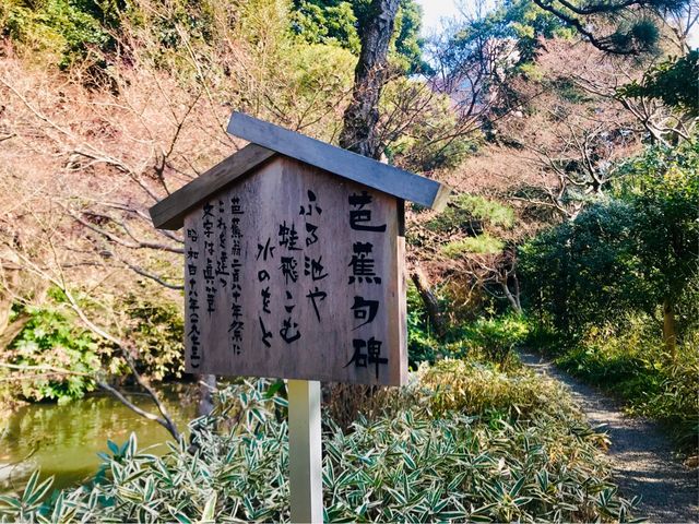 【関口芭蕉庵】古池や…の有名な芭蕉の句碑があります_関口芭蕉庵