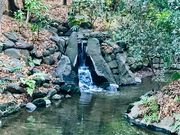めのうさんの寝覚の滝(小石川後楽園)の投稿写真2