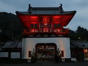 Yanwenliさんの武雄温泉楼門の投稿写真3