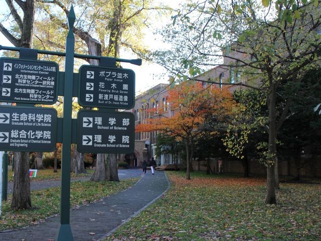 理学部_北海道大学