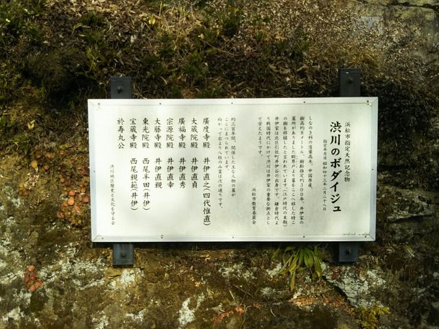 説明板_渋川井伊家墓所
