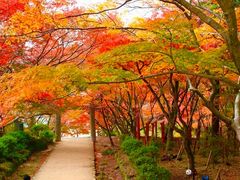 宝満宮 竈門神社の写真1