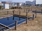 愛のすね毛さんのとんぼ公園の投稿写真1