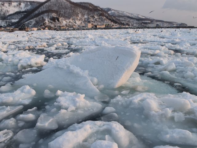 流氷_観光船はまなす