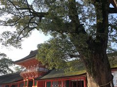 宇佐神宮の写真1