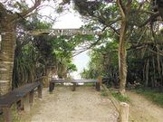 甘辛熊さんのスリ浜の投稿写真4