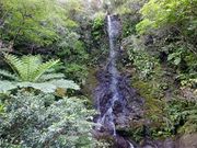 甘辛熊さんの嘉入の滝の投稿写真1