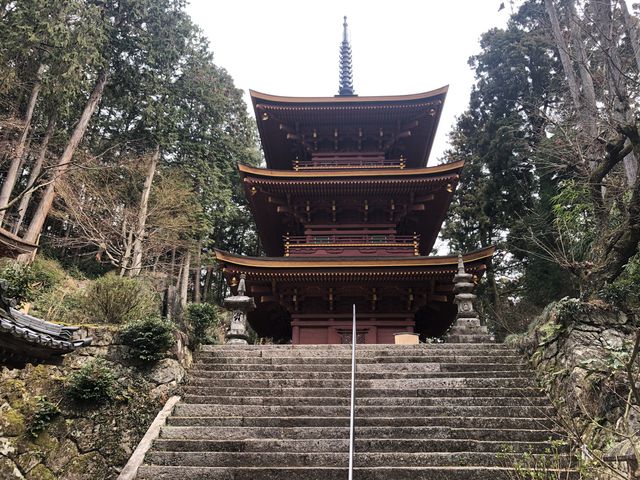 杉林をバックに_長命寺三重塔