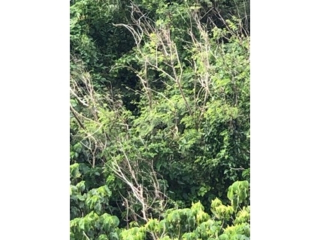 寒かった_中島公園