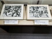 流れ星1986さんの釜石市郷土資料館の投稿写真1