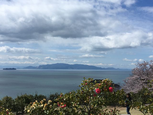 椿や桜が咲く岬からは 明石海峡大橋、淡路島、小豆島、四国まで見渡せる_万葉の岬