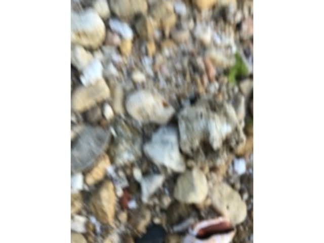 砂利_戸隠神社