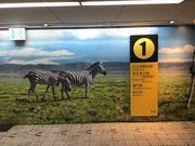 ドリルとゆう子さんの御堂筋線 動物園前駅の投稿写真1