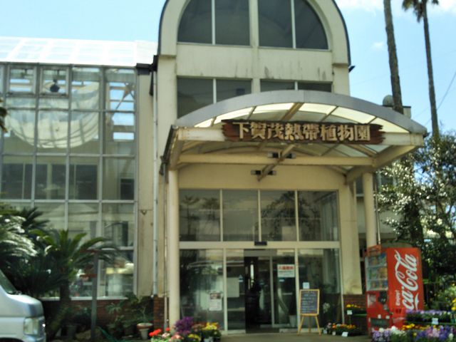 『下賀茂熱帯植物園』。_下賀茂熱帯植物園