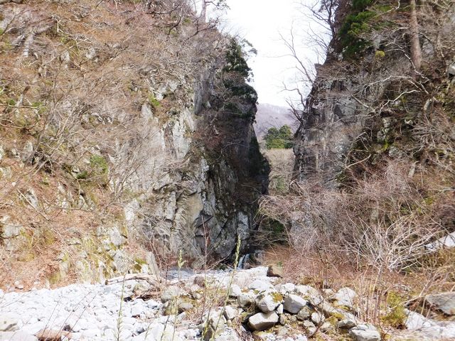 こぼらさんの南光河原の投稿写真1