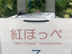 サニー農園の写真1