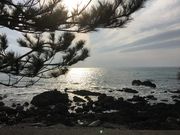 poporonさんの道の駅 キラメッセ室戸の投稿写真3