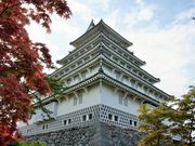 雷ちゃんさんの島原城の投稿写真4