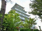 雷ちゃんさんの島原城の投稿写真5