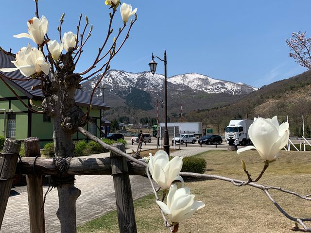 眺めが良い。_道の駅あらい カンパーナあらい