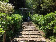太平山の写真1