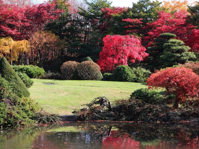 日本庭園1_平岡樹芸センター