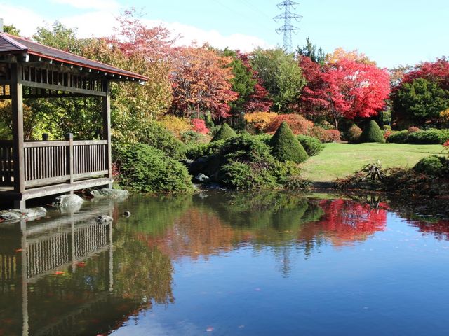 日本庭園2_平岡樹芸センター