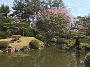 ZUNDAMさんの酒井氏庭園の投稿写真1