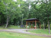 たかちゃんさんの桜山公園の投稿写真1