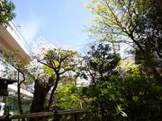 イオンさんの竹久夢二美術館の投稿写真1