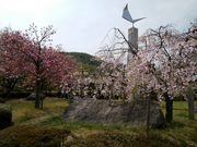 しちのすけさんの田中苑の投稿写真2