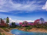 わたるっちさんの大出の吊り橋の投稿写真1