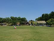 とくちゃんさんの紀美野町のかみふれあい公園の投稿写真1