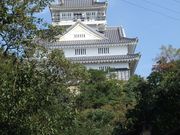 miyosikoさんの金華山の投稿写真1