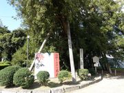 イオンさんの名古屋城のカヤの投稿写真1