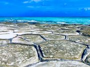 (癶∀癶)さんの畳石の投稿写真1